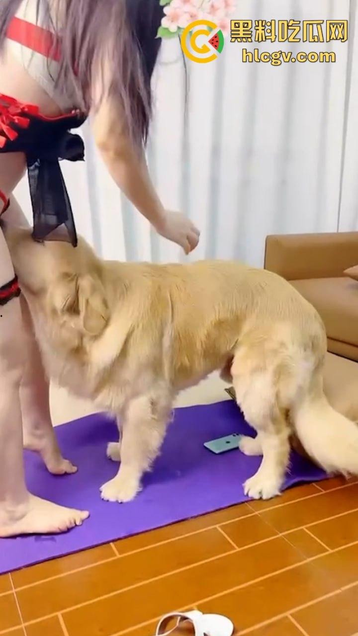 抖音小姐姐【香香公主】给科普兽交注意事项 每天都在和金毛上演人兽配！-10